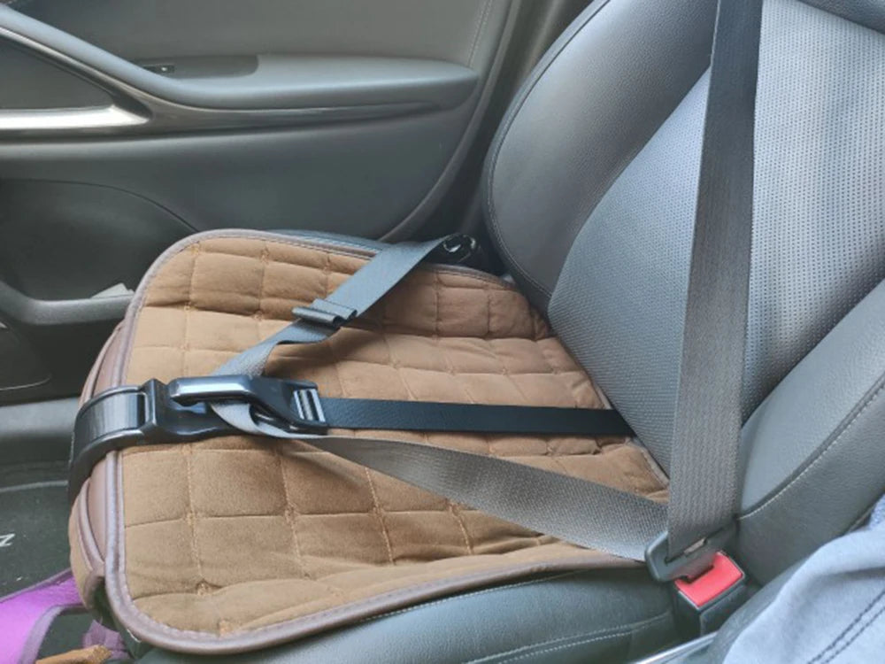 Pregnancy Car Seat Belt